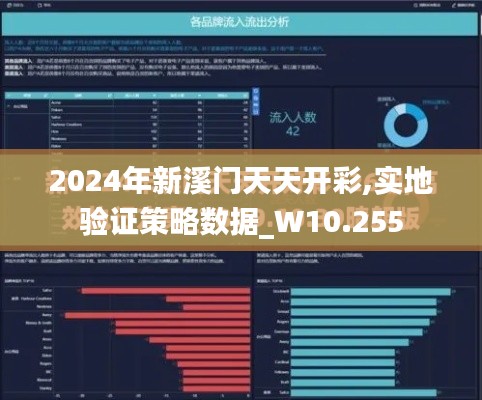 2024年新溪门天天开彩,实地验证策略数据_W10.255