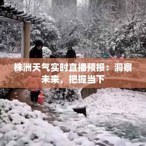 株洲天气实时直播预报:洞察未来,把握当下