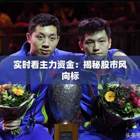 实时看主力资金:揭秘股市风向标