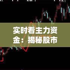 实时看主力资金:揭秘股市风向标