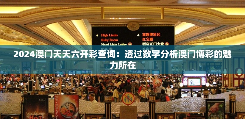 2024澳门天天六开彩查询：透过数字分析澳门博彩的魅力所在