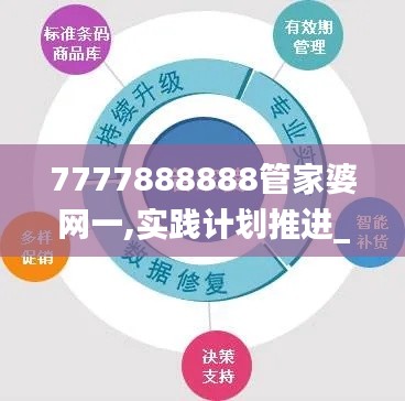 7777888888管家婆网一,实践计划推进_XP11.990