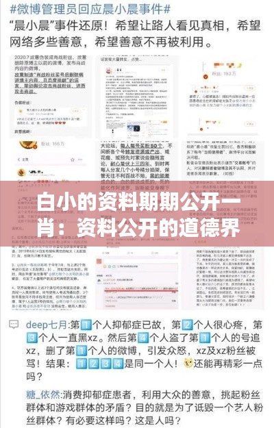白小的资料期期公开一肖:资料公开的道德界限与社会责任