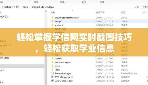 轻松掌握学信网实时截图技巧,轻松获取学业信息