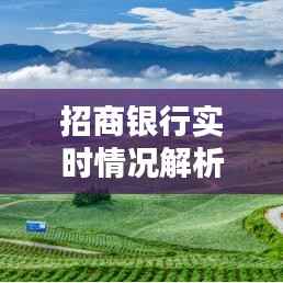 招商银行实时情况解析：业绩稳健，创新驱动未来