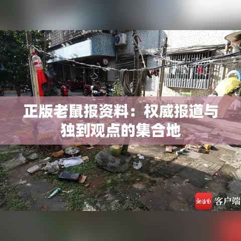 正版老鼠报资料：权威报道与独到观点的集合地