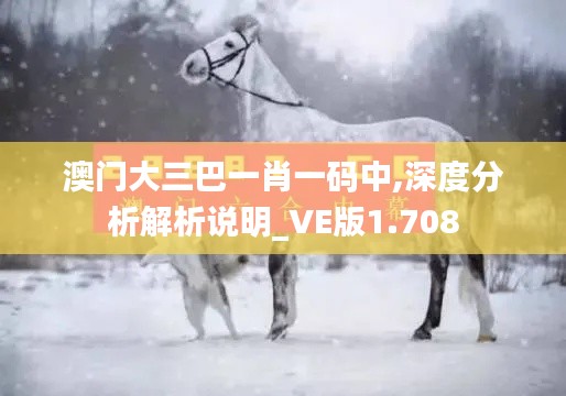 澳门大三巴一肖一码中,深度分析解析说明_VE版1.708