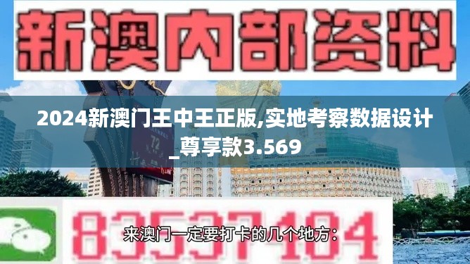 2024新澳门王中王正版,实地考察数据设计_尊享款3.569