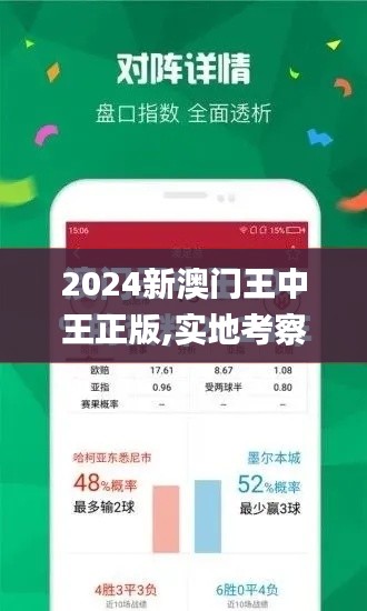 2024新澳门王中王正版,实地考察数据设计_尊享款3.569