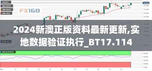 2024新澳正版资料最新更新,实地数据验证执行_BT17.114