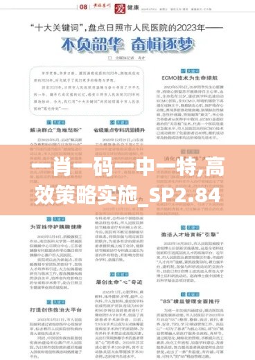 一肖一码一中一特,高效策略实施_SP2.843