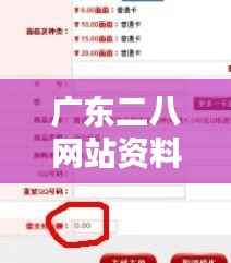 广东二八网站资料站:深入挖掘的网络资源宝库