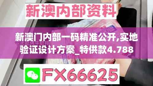 新澳门内部一码精准公开,实地验证设计方案_特供款4.788