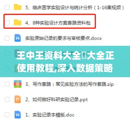 王中王资料大全枓大全正使用教程,深入数据策略设计_旗舰版3.264