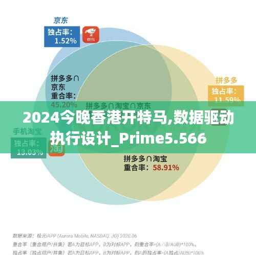 2024今晚香港开特马,数据驱动执行设计_Prime5.566