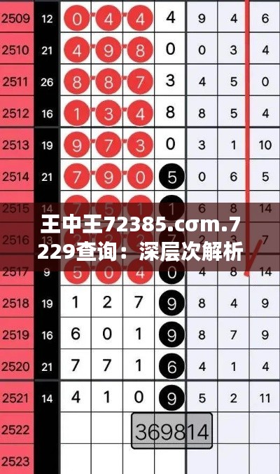王中王72385.cσm.7229查询：深层次解析与内幕揭露，透视数字背后的秘密