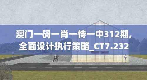 澳门一码一肖一恃一中312期,全面设计执行策略_CT7.232