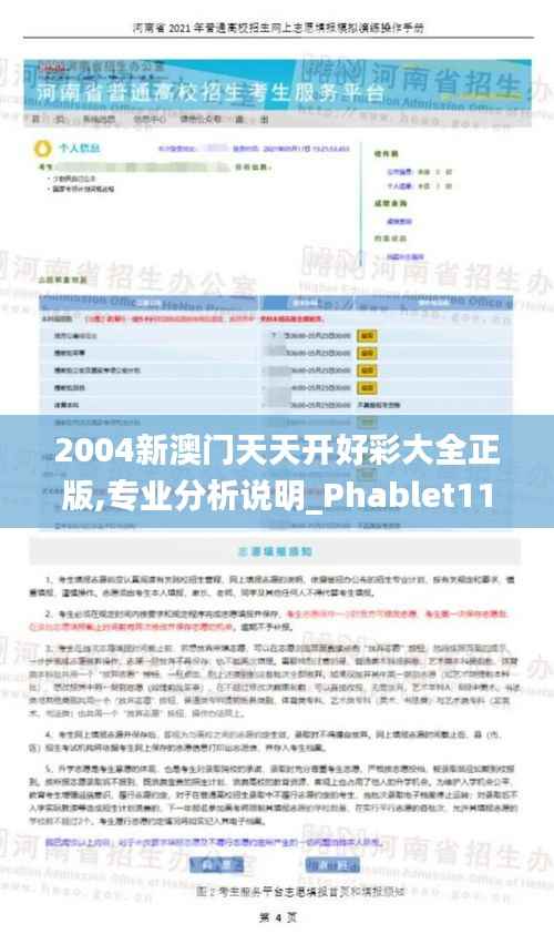 2004新澳门天天开好彩大全正版,专业分析说明_Phablet11.784