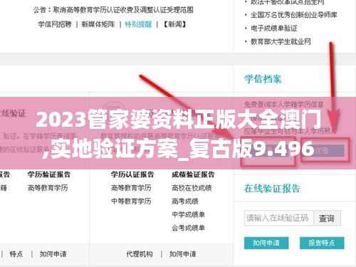 2023管家婆资料正版大全澳门,实地验证方案_复古版9.496