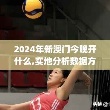 2024年新澳门今晚开什么,实地分析数据方案_界面版2.445