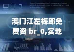澳门江左梅郎免费资 br_0,实地策略评估数据_安卓款10.920