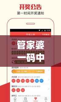 管家婆一码中一肖2024,数据解析支持方案_开发版13.108