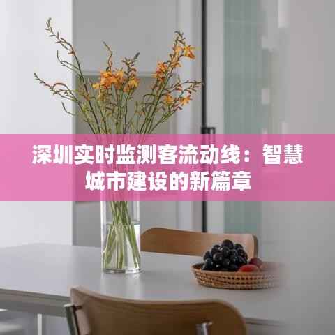 深圳实时监测客流动线:智慧城市建设的新篇章