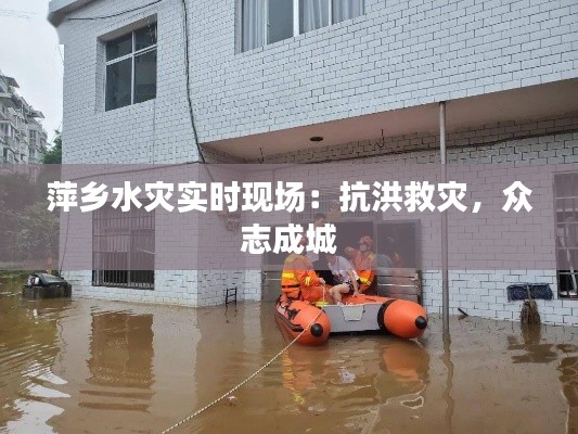 萍乡水灾实时现场:抗洪救灾,众志成城