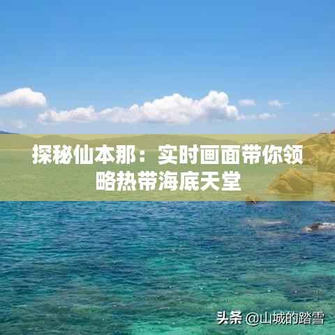 探秘仙本那:实时画面带你领略热带海底天堂