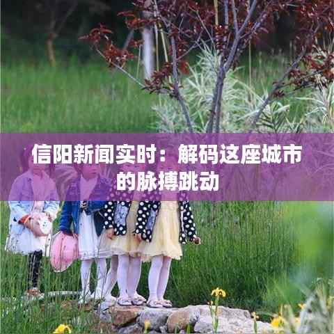 信阳新闻实时:解码这座城市的脉搏跳动