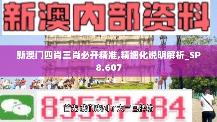 新澳门四肖三肖必开精准,精细化说明解析_SP8.607