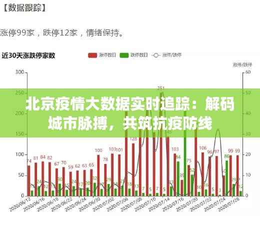 北京疫情大数据实时追踪:解码城市脉搏,共筑抗疫防线