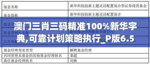 澳门三肖三码精准100%新华字典,可靠计划策略执行_P版6.544