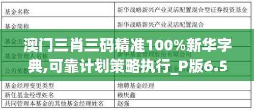 澳门三肖三码精准100%新华字典,可靠计划策略执行_P版6.544