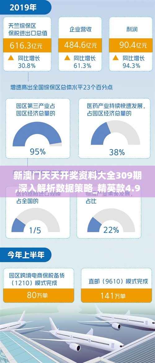 新澳门天天开奖资料大全309期,深入解析数据策略_精英款4.988