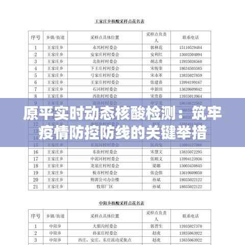 原平实时动态核酸检测:筑牢疫情防控防线的关键举措