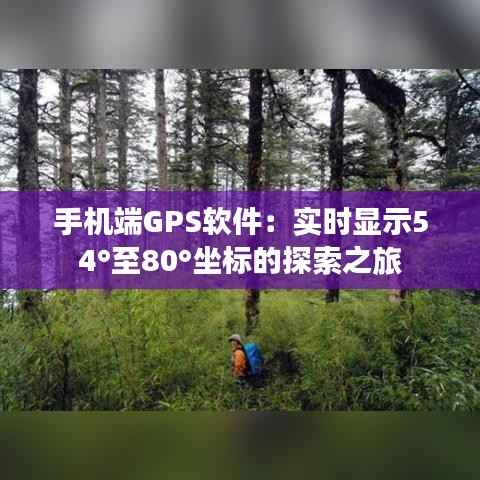 手机端GPS软件:实时显示54°至80°坐标的探索之旅
