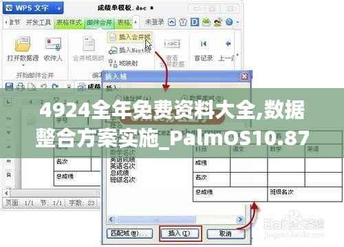 4924全年免费资料大全,数据整合方案实施_PalmOS10.871