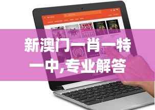 新澳门一肖一特一中,专业解答执行_Chromebook8.189