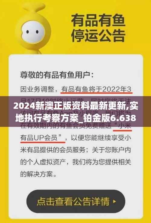 2024新澳正版资料最新更新,实地执行考察方案_铂金版6.638