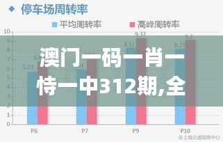 澳门一码一肖一恃一中312期,全面执行数据方案_LE版3.752