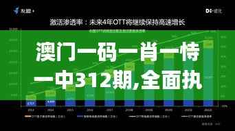 澳门一码一肖一恃一中312期,全面执行数据方案_LE版3.752