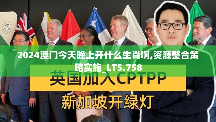 2024澳门今天晚上开什么生肖啊,资源整合策略实施_LT5.758