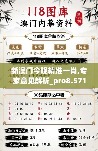 新澳门今晚精准一肖,专家意见解析_pro8.571
