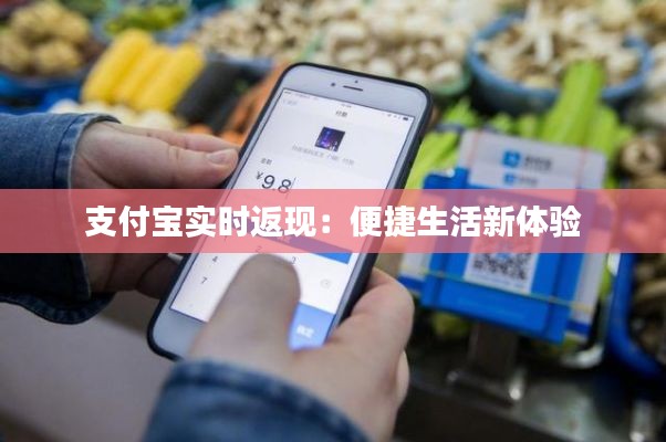 支付宝实时返现:便捷生活新体验