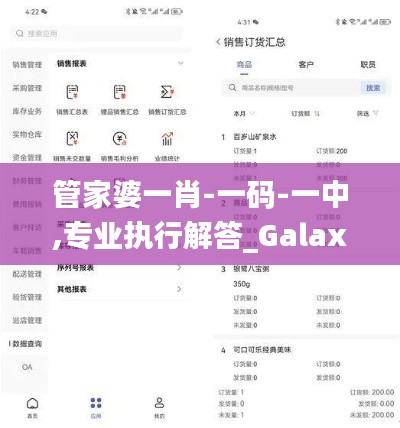 管家婆一肖-一码-一中,专业执行解答_Galaxy5.938