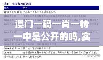 澳门一码一肖一特一中是公开的吗,实地验证分析策略_C版110.926