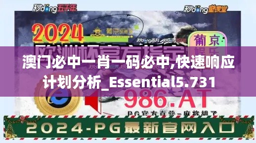 澳门必中一肖一码必中,快速响应计划分析_Essential5.731