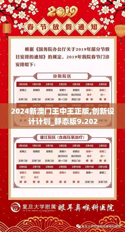 2024新澳门王中王正版,创新设计计划_静态版9.202