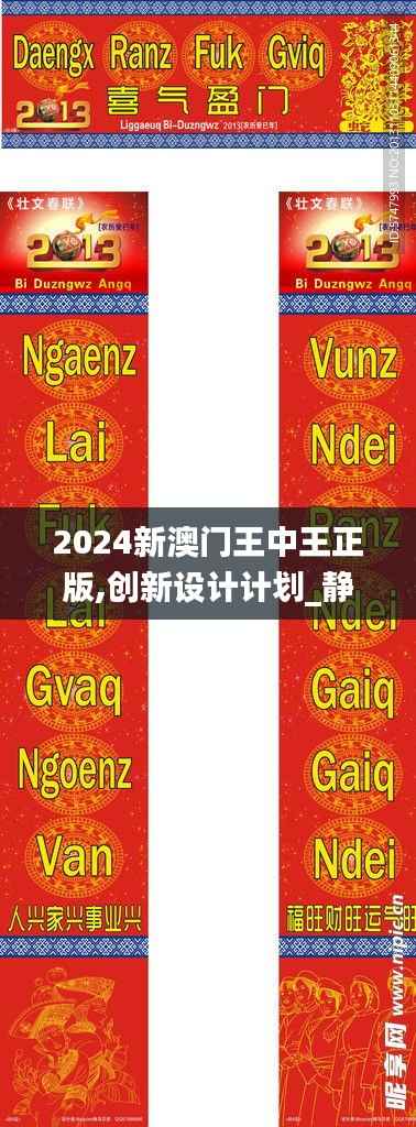 2024新澳门王中王正版,创新设计计划_静态版9.202